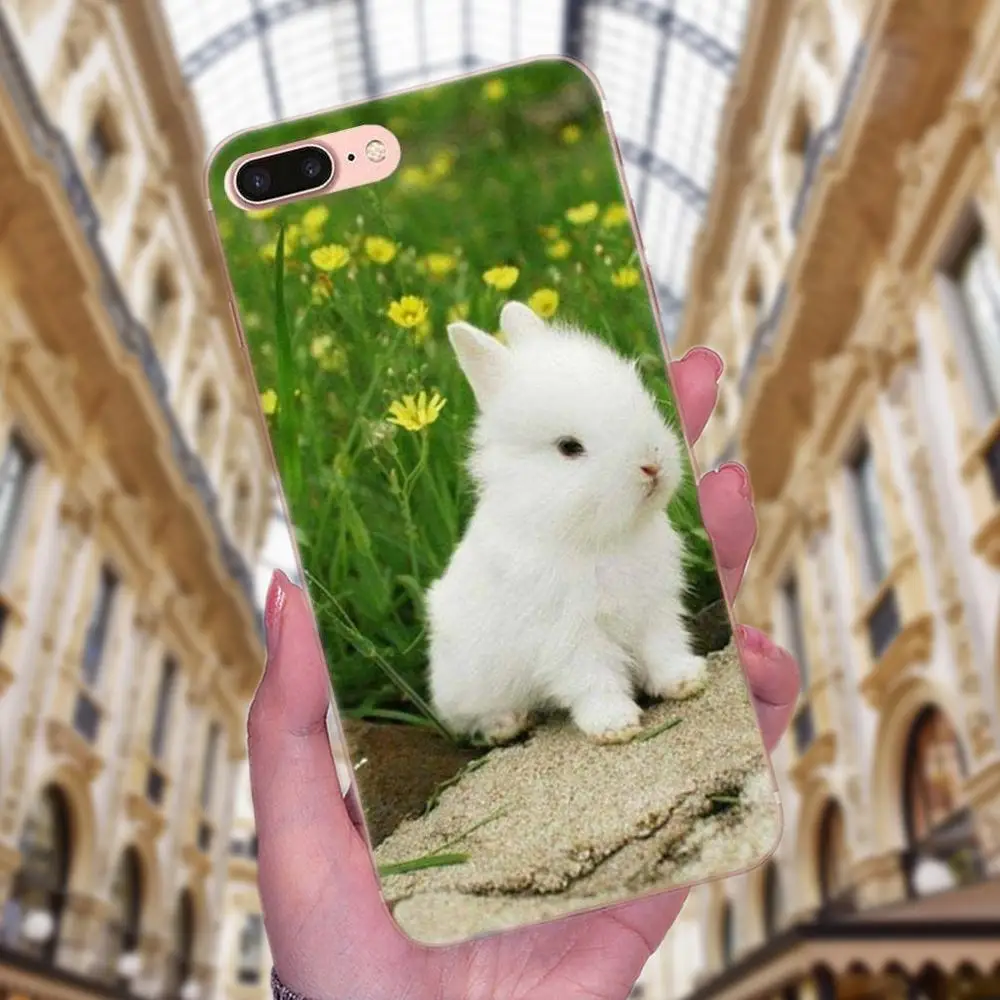 Чехол для телефона из ТПУ с милым Белым Кроликом Банни Sony Xperia Z Z1 Z2 Z3 Z4 Z5 compact Mini M2 M4