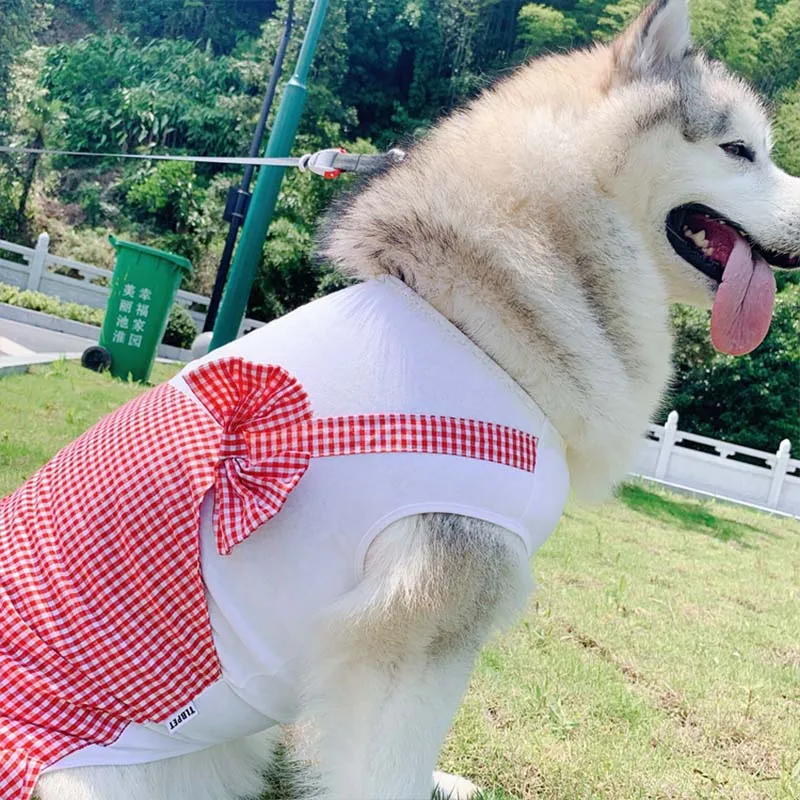 Summer Clothes For Big Dogs - Cute And Sweet Dress