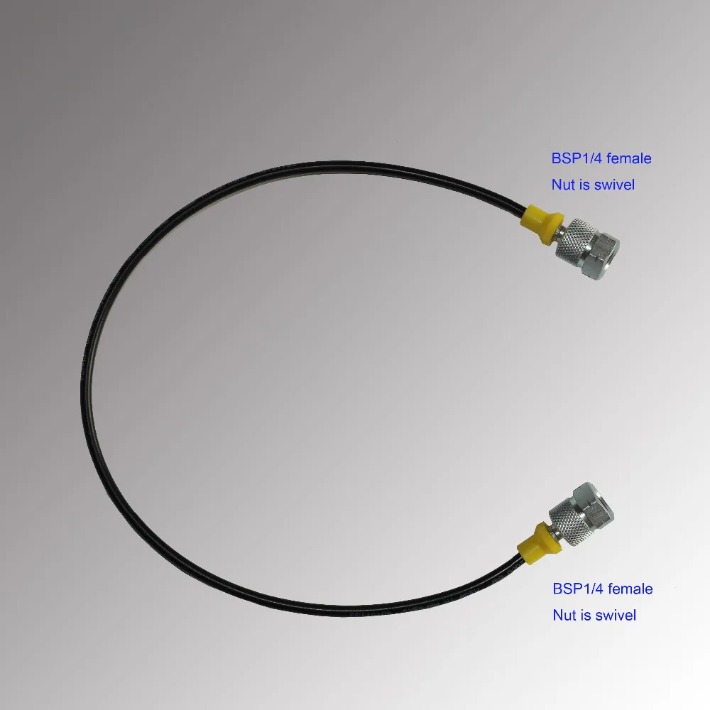 Test hose-BSP1-4 female both end