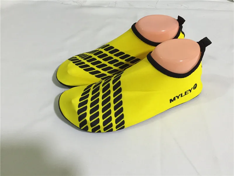 2782784906_979201264