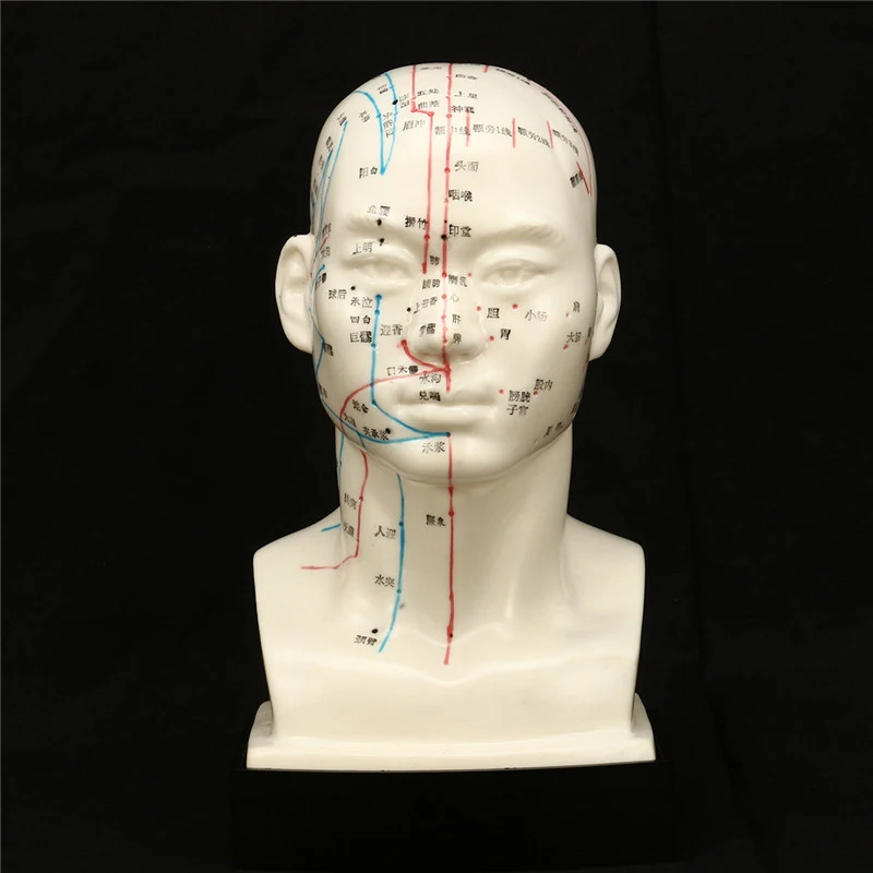 acupuncture-facial-meridians-erickson-porno