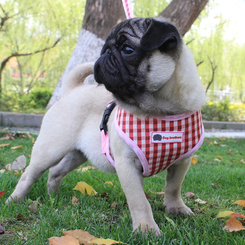 7 no pull dog harness 