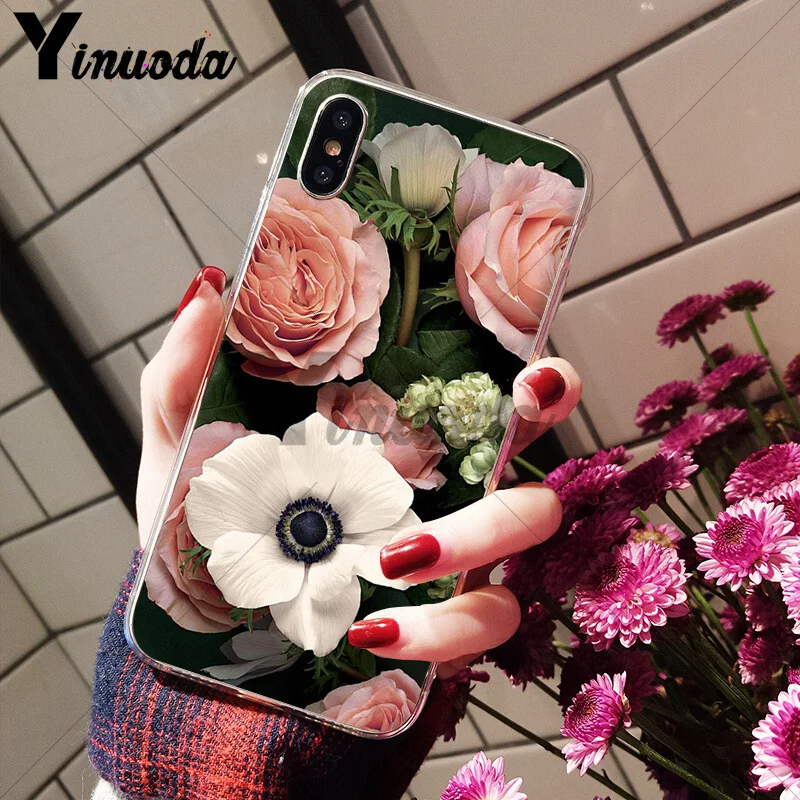 Flower Pink Peonies Peony