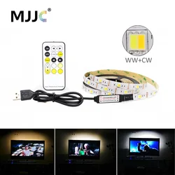 Dimmable USB LED Strip Light with Adjustable Color Temperature and Remote Control (IP20 Non - waterproof)