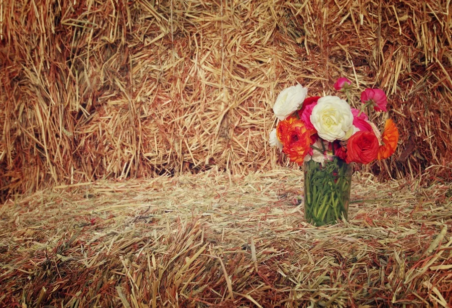 

Laeacco Barn Haystack Bottled Flower Children Warehouse Baby Portrait Photo Backgrounds Photography Backdrops For Photo Studio