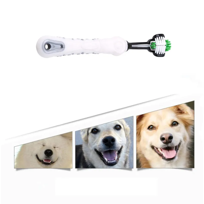 Alibaba Hot Selling Dog Item Alibaba Hot Selling Dog Item