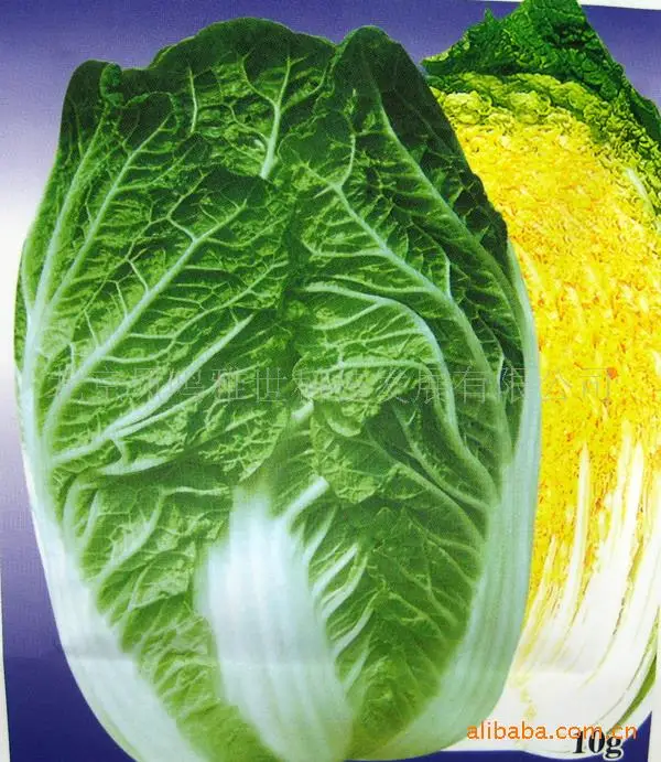 

2018 Time-limited Summer Aquarius Excluded Very Easy Interest Huanglong Chun Cabbage bonsais 200bonsais Hot Nutrition Vegetable