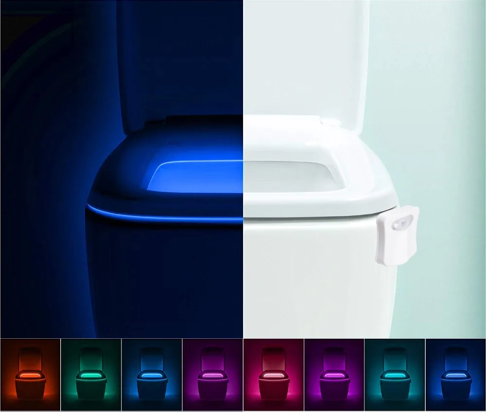 LED toilet light
