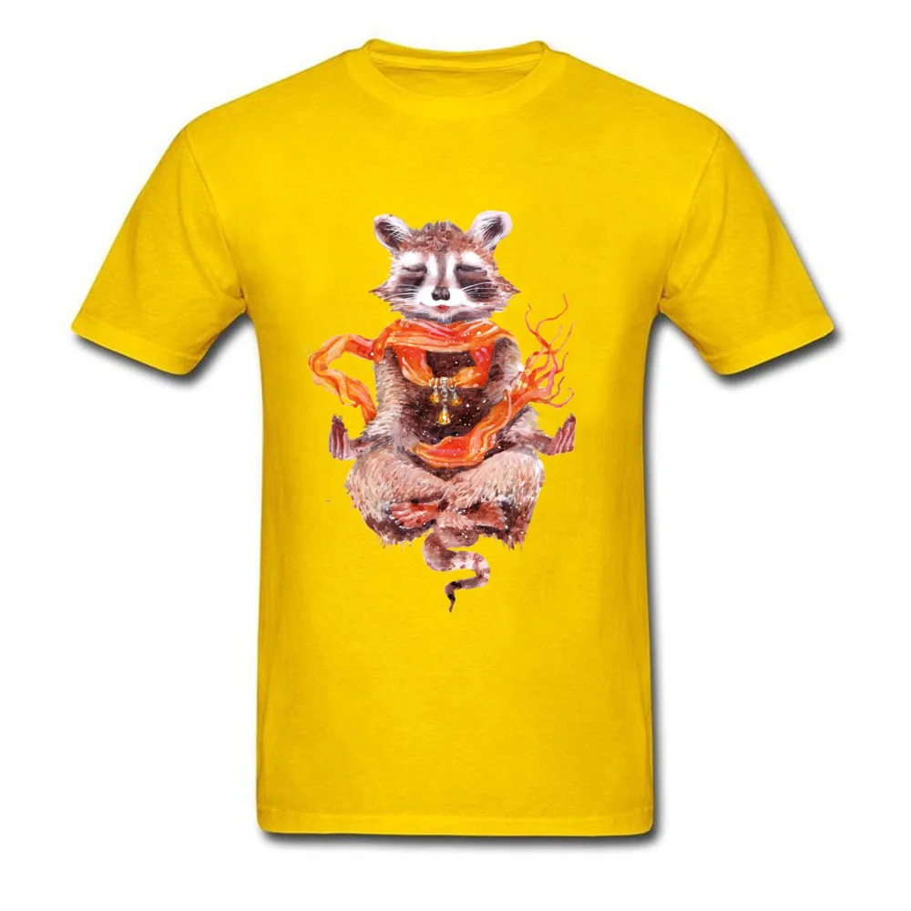 Raccoon meditates (female)_yellow
