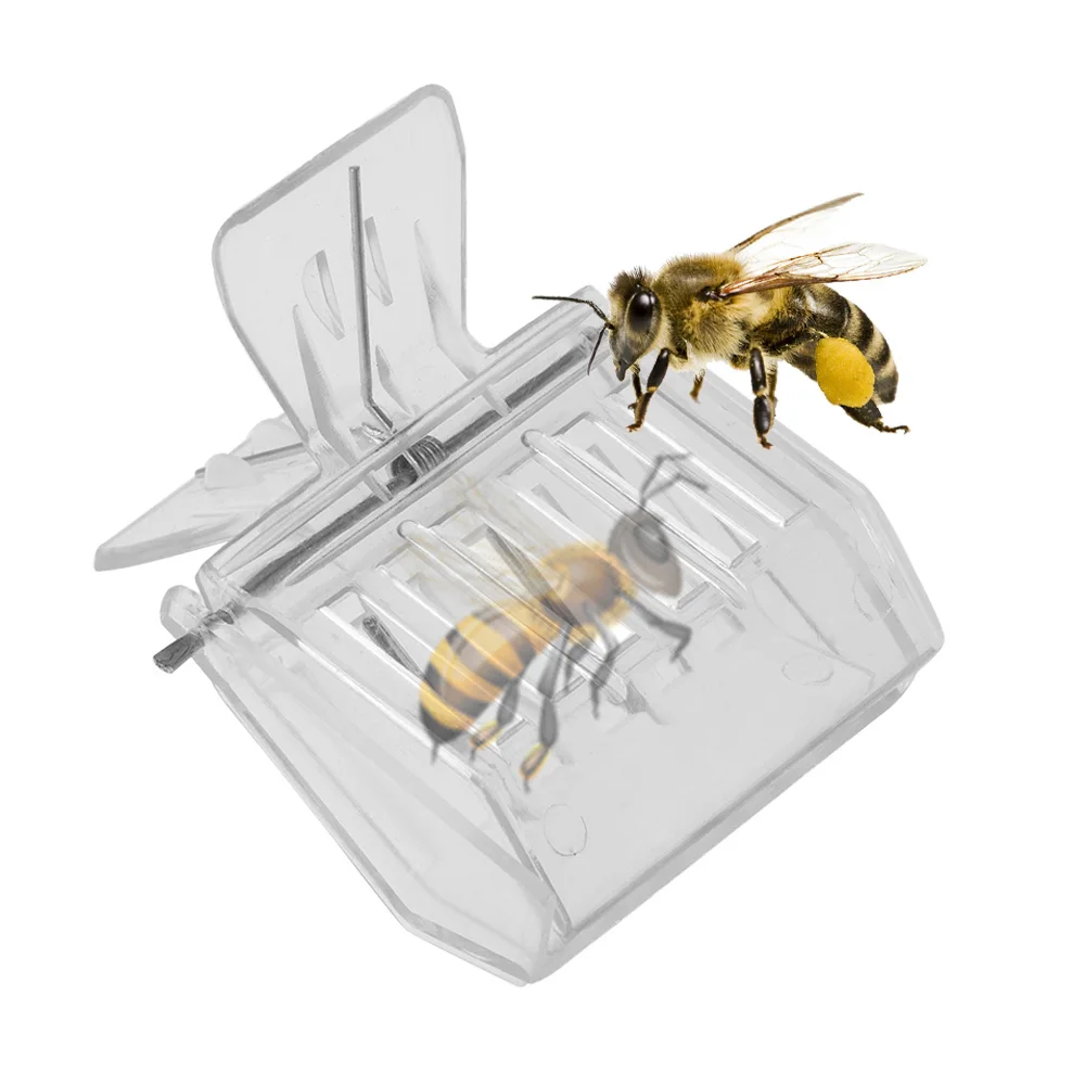 Пластиковый пчеловодческий Пчелка инструмент-ловушка королева пчела зажимы ловушка для пчел клетка пчеловод защитное снаряжение