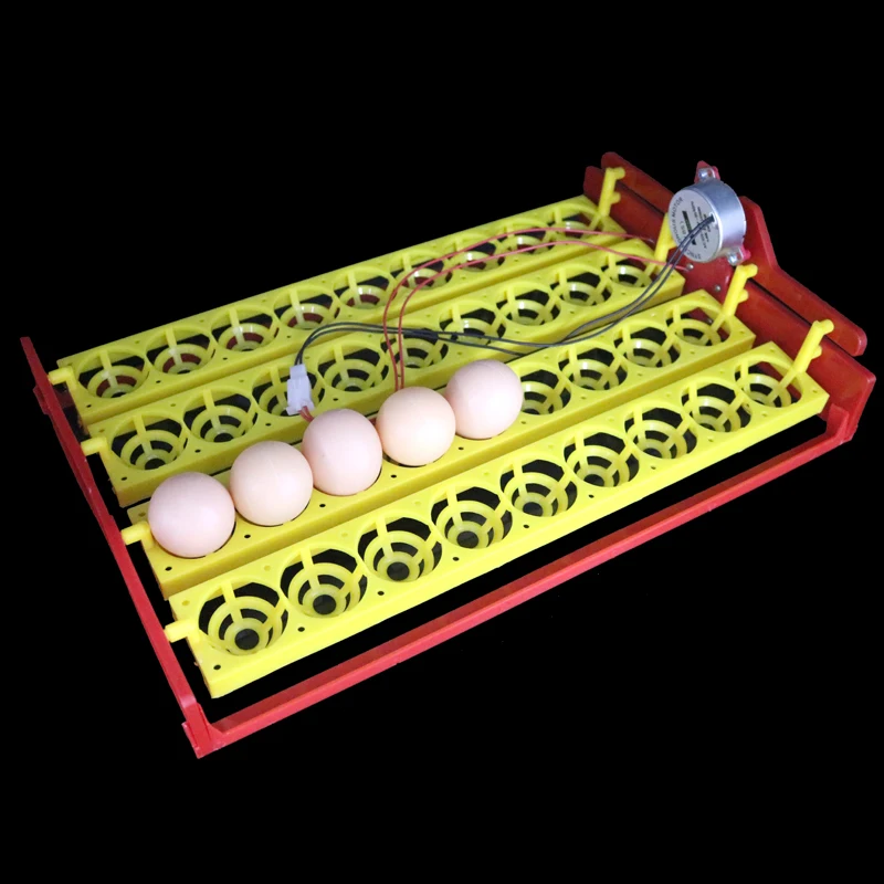 36 яиц автоматический инкубатор поворот яиц лоток курицы фазана лоток Diy инкубатор экспериментальное обучающее оборудование