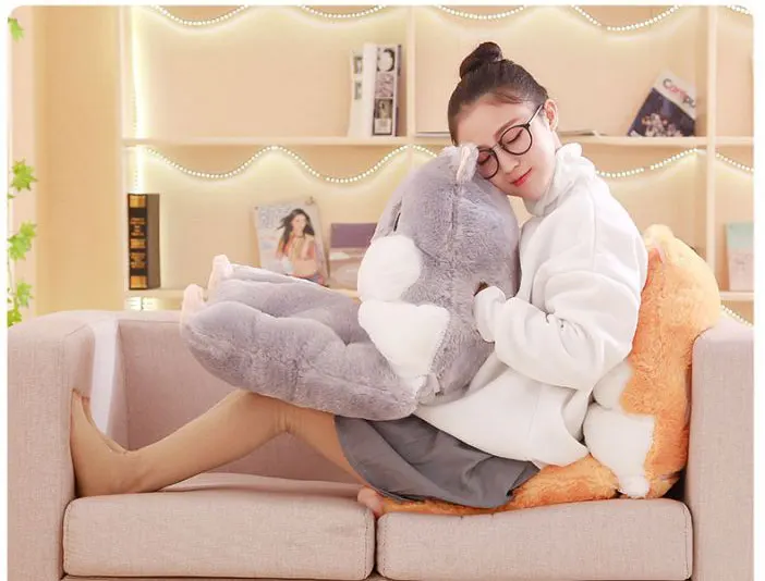 7534672317_1544728954_11