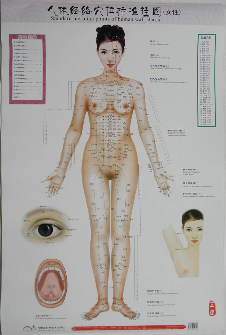 Человек для тела, меридиан acupoint стандартная настенная таблица женский китайский и английский код, 3 диаграммы в 1 наборе