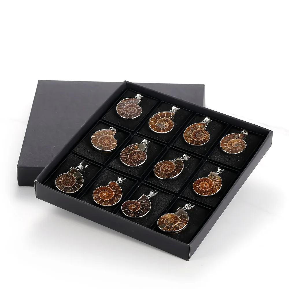 

ASHMITA Natural Ammonite Fossils Seashell Snail Pendants Ocean Conch Animal Necklaces Statement Men Jewellery Women Collection