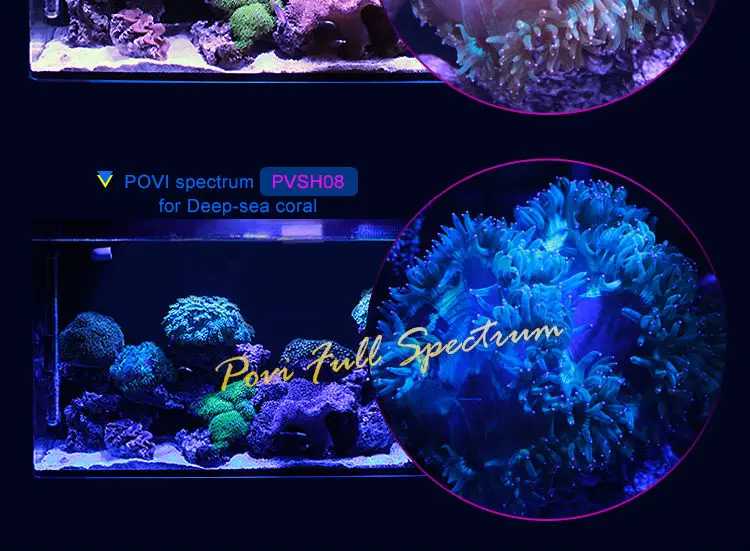 POVI 100W70W50W30W LED coral Аквариум лампы для коралловых Легкая Установка fish tank освещения