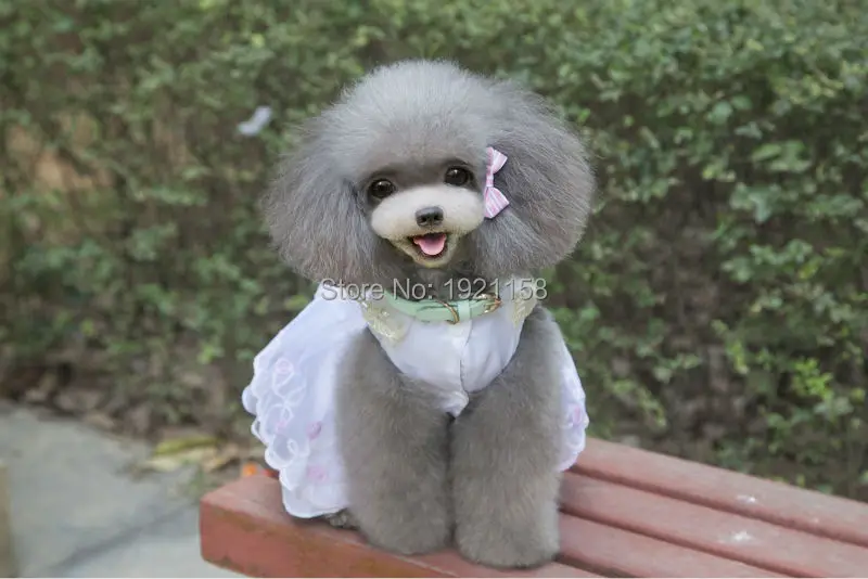 Prrincess_Pet_Dog_Dress_Summer_Pink_lace_Pearl_dresses_Lovely_Puppy_dog_Wedding_Party_skirt_Pet_clothing_supplies_ (11)