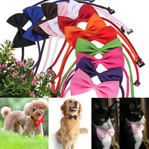 

Collars Cute Solid Color Adjustable Cat Bowtie Pet Dog Collar Bowknot Necktie Bow Dog collar accessories Pet Supply！