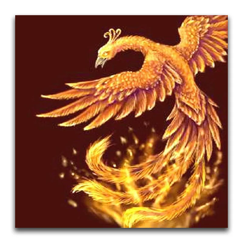 Full Round Diamond mosaic Phoenix Full Square Diamond painting Cross stitch colorful 5D DIY Diamond embroidery Animal Dragon