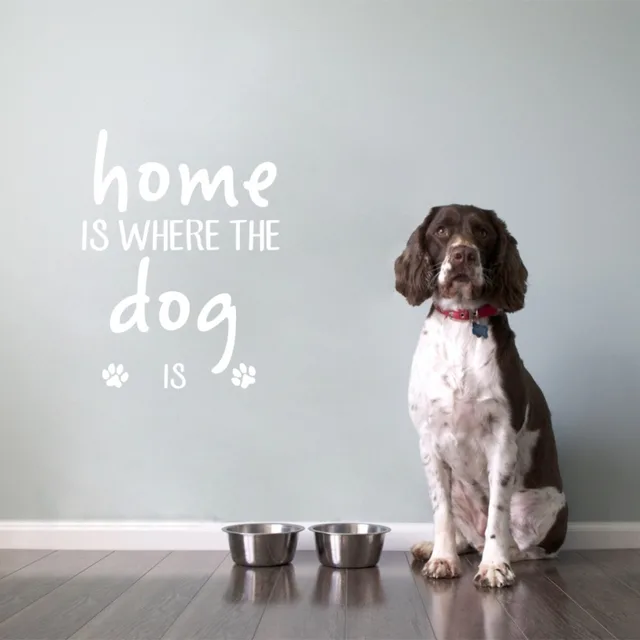Buy Pet Quote Vinyl Wall Stickers Home Is Where The