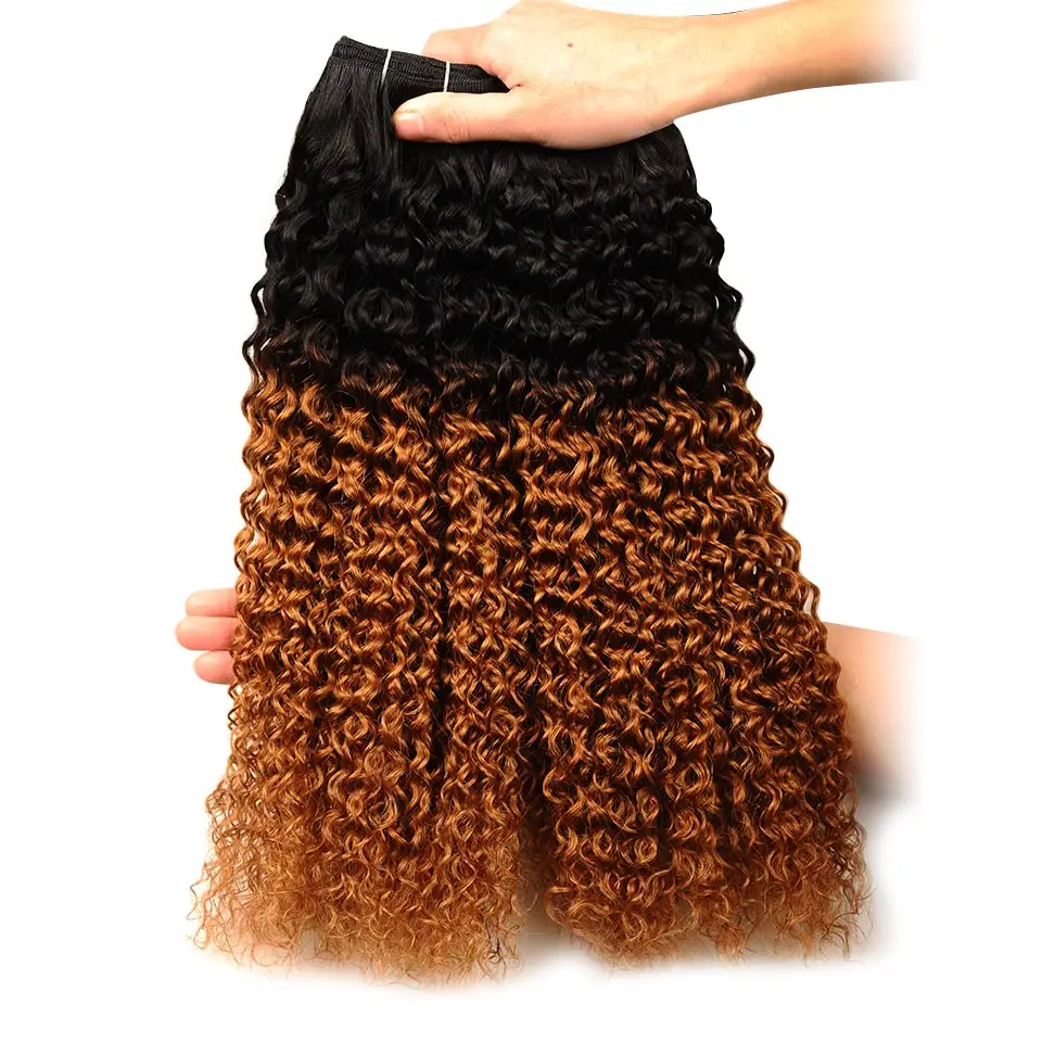Pinshair Ombre 1B 30 Afro Kinky Curly Weave Human Hair Bundles Ombre Malaysian Curly Hair 4 Bundles Non Remy Hair No Tangle Shed (92)