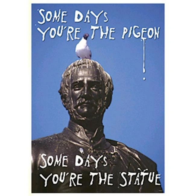 Trend Enterprises T-A67278 Poster Some Days You Re The Pigeonsome Days Youfre The Statue Argus