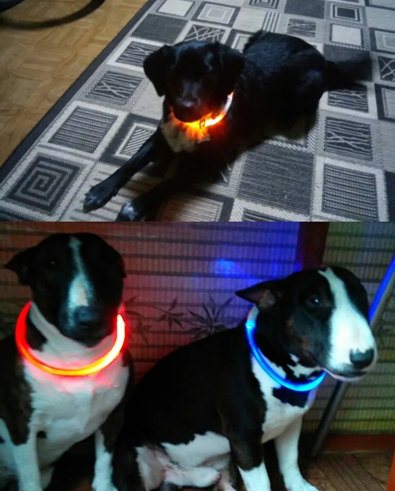Светящийся ошейник для собак, usb-зарядка, светящийся ошейник для кошек, светодиодный ошейник для собак, аксессуары для маленьких, средних и больших собак