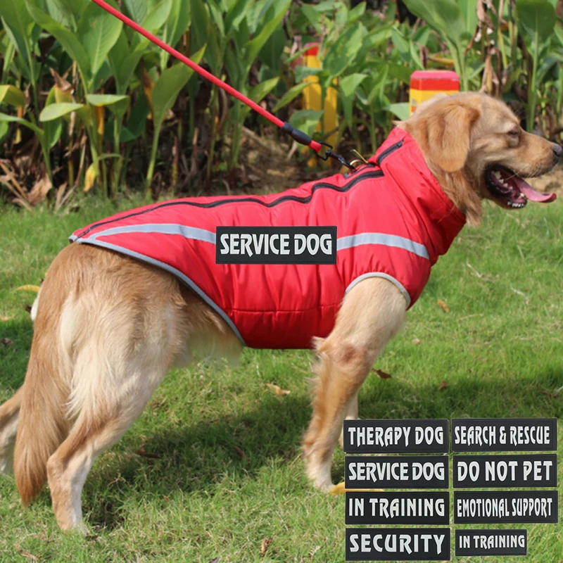 Pet Service Dog In Training SECURITY PATCH Therapy Dog DO NOT PET EMOTIONAL SUPPORT BADGE