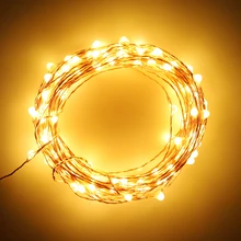 LEEDSUN 5 м 100 светодиодный струнный светильник медный провод сказочные огни открытый праздник/Рождество/Свадьба/Вечерние декоративный предмет со светодиодной подсветкой