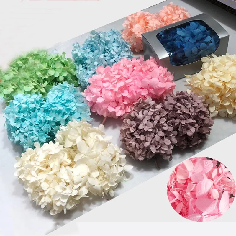 9boxes,Long Time Lasting Natural Fresh Preserved Flowers Dried Hydrangea Flower Head For IY Real Eternal Life Flowers Material