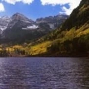 Trees in a forest  Snowmass Wilderness Area  Maroon Bells  Colorado  USA Poster Print (18 x 6)