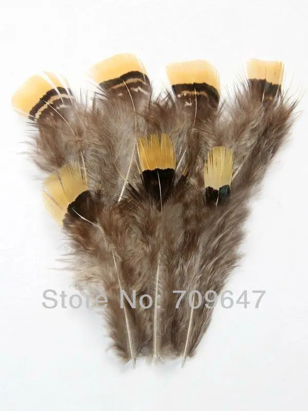 

Small Feathers ! 200Pcs/Lot 4-7CM Yellow-tipped Lady Amherst Pheasant Body Plumage Feathers,Loose Feathers