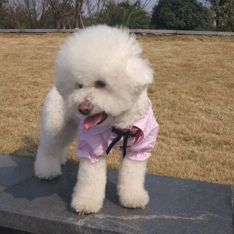 Маленькая собака одежда синий розовый в полоску Сладкий Pet щенок Рубашка собак футболка толстовки лето кошка собака костюм для Чихуахуа Тедди бишон