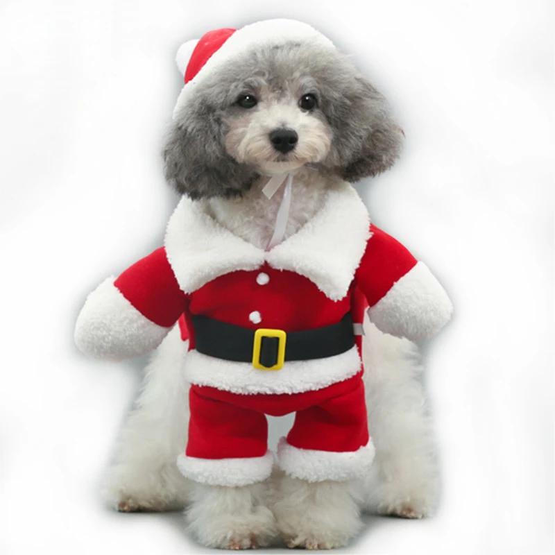 Solide Chien Vêtements Imperméable Chiot Manteau Veste Pour