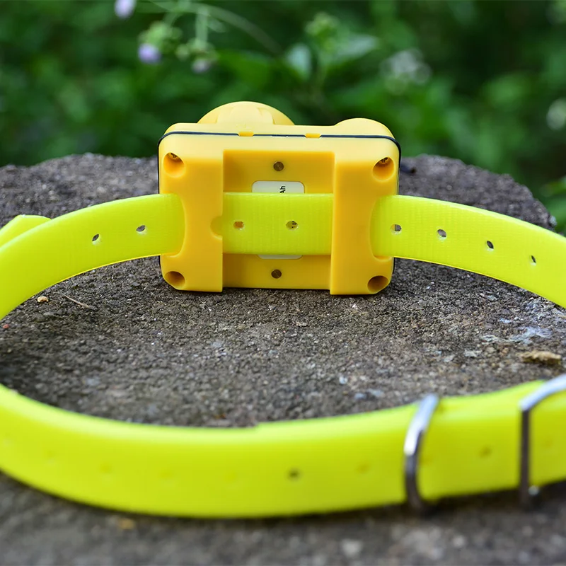 Professional Hunting Dog Beeper Chargable Dog Training Collar Waterproof Dog Training Equipment Pet Electric Collar Beep Clicker9