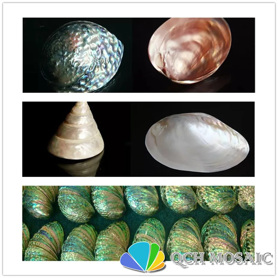 Новая Зеландия abalone paua shell Mother Of Pearl ламинат лист для музыкальный инструмент и деревянный Декор 10 шт./лот qch107