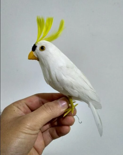 toy cockatoo