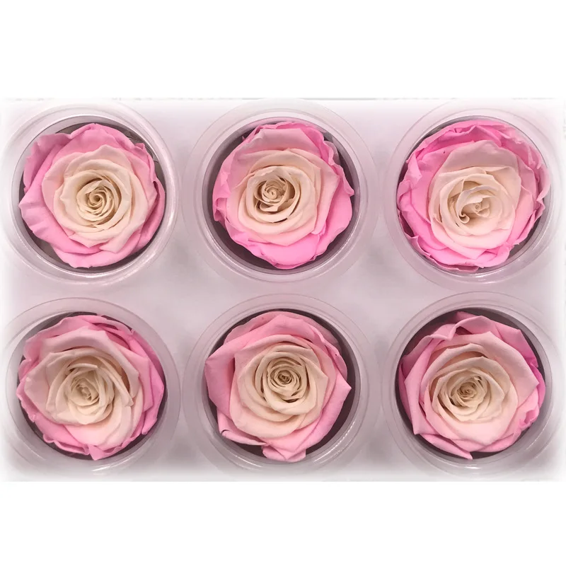 1 коробка, высокое качество, Красочные розы, цветок, Rose5-6CM, диаметр, цветок вечной жизни, материал, подарочная коробка - Цвет: 02