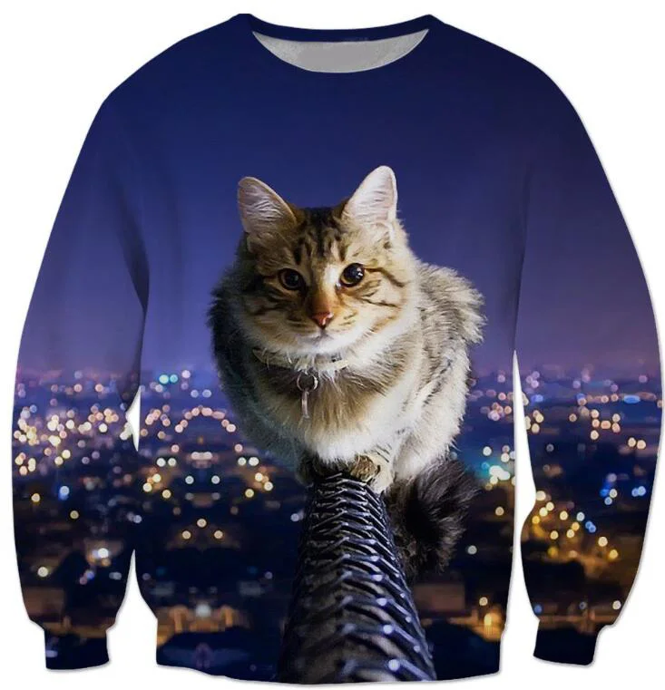 Кот в кофте. Кот в свитере. Кот в толстовке. Толстовка с котами.