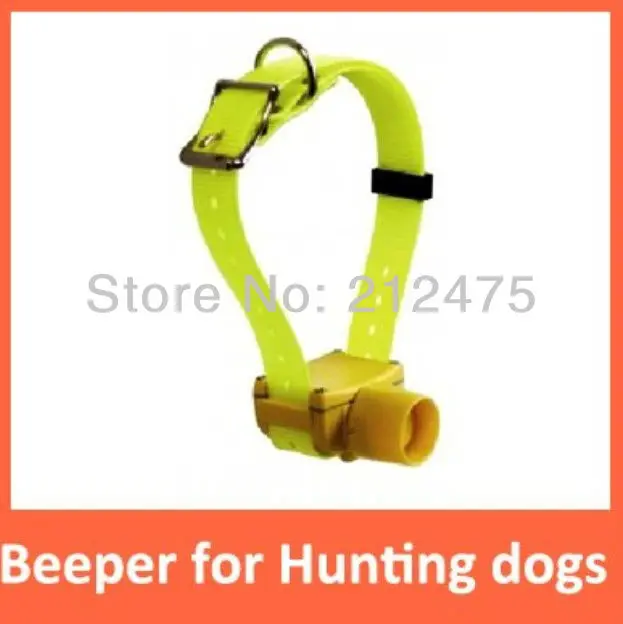 hunting dog supply store