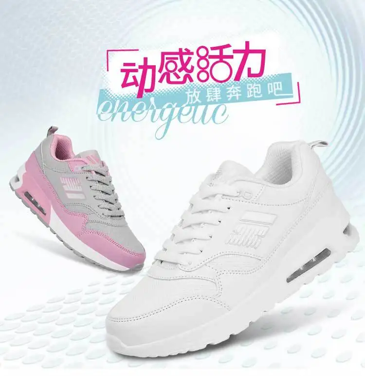 5286913879_661546604