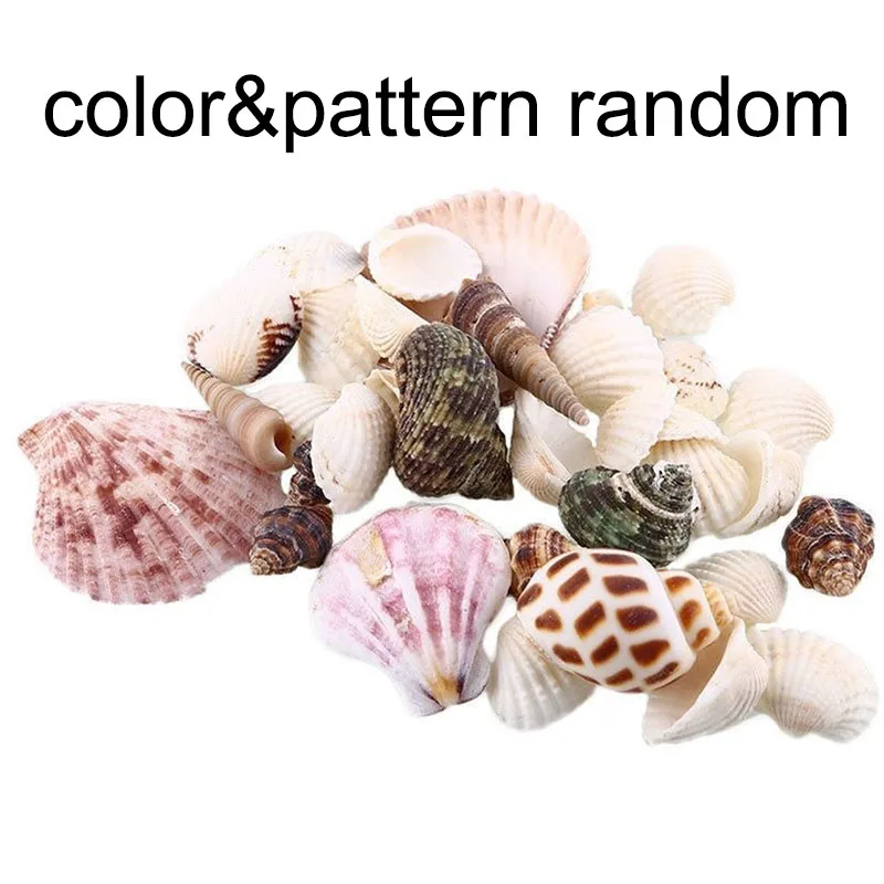 

100 г, новые смешанные пляжные морские ракушки, аквариумные рыбки, украшение для аквариума, ракушки россыпью