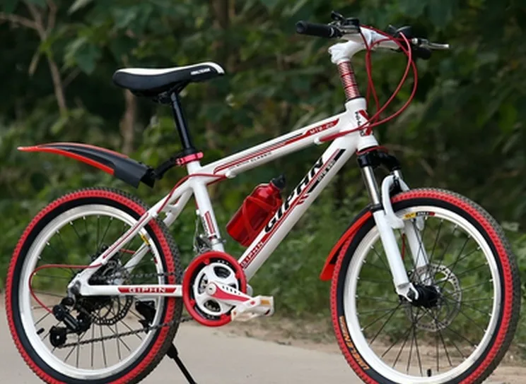 Top Free Shipping Aluminum Alloy material 21 speed 24 inch Shift double disc damping mountain bike 2 Top Free Shipping Aluminum Alloy material 21 speed 24 inch Shift double disc damping mountain bike 2