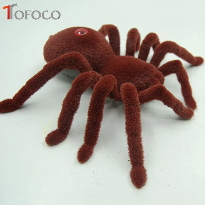 tfl027spider02