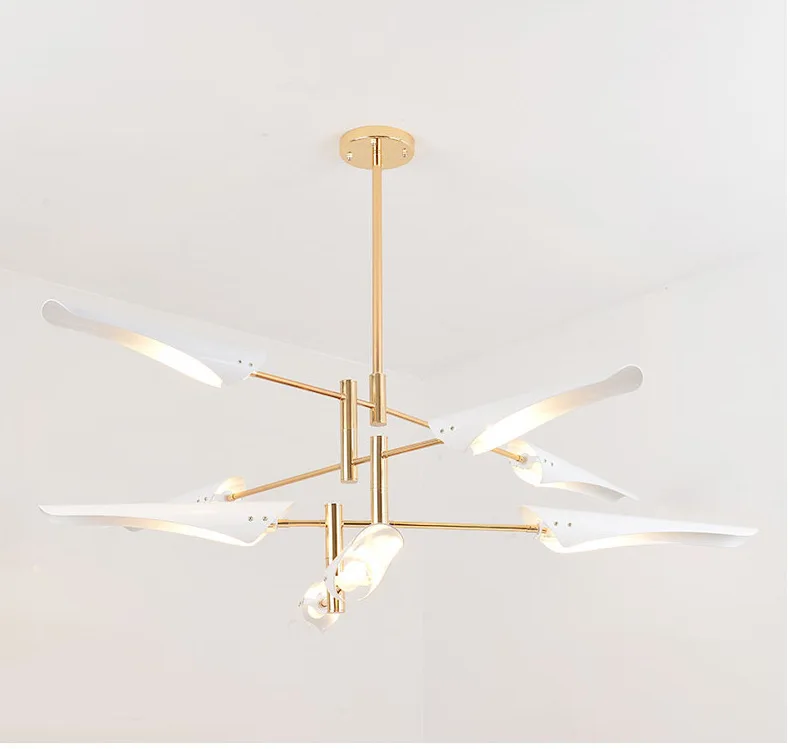 z (7)