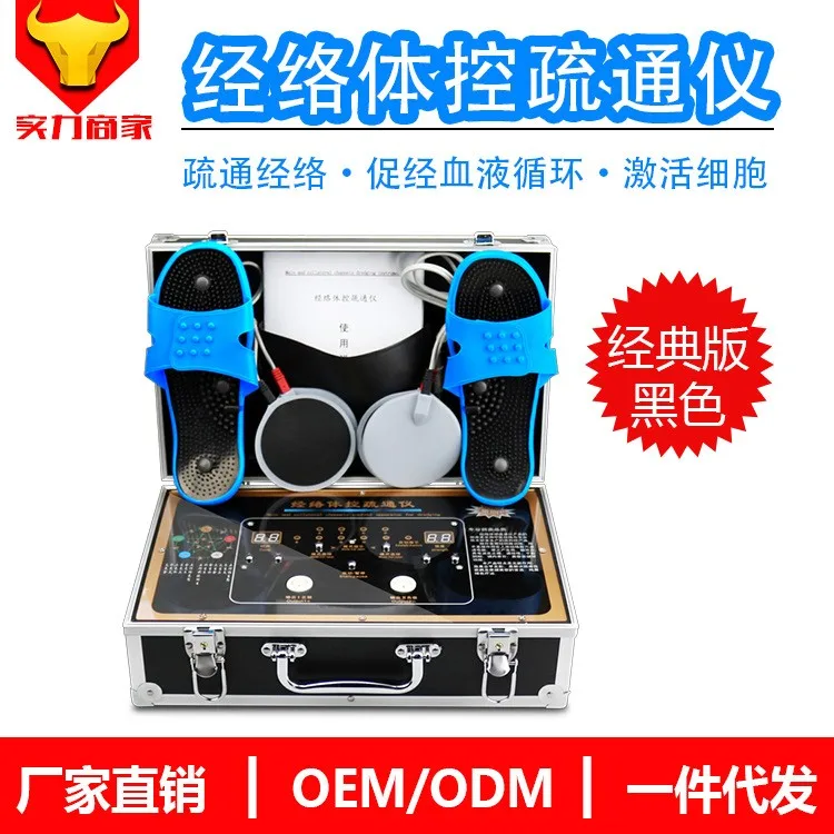 

Acid-base DDS bio electric massager multifunctional household meridian instrument Chinese medicine physiotherapy beauty salon
