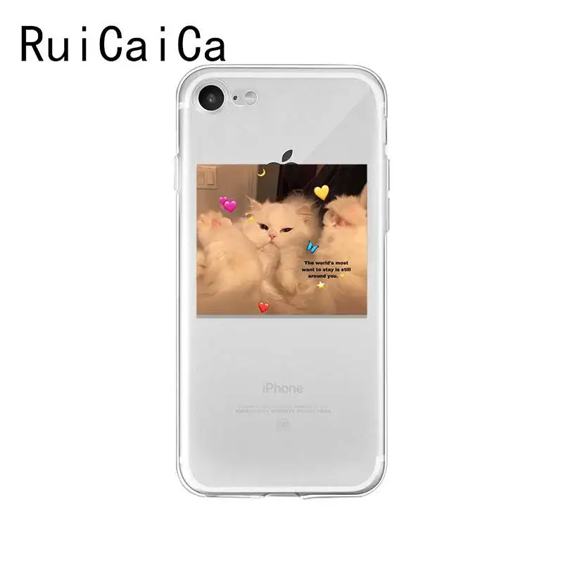 super cute cat dog cartoon pink Heart-shaped YOU&ME series