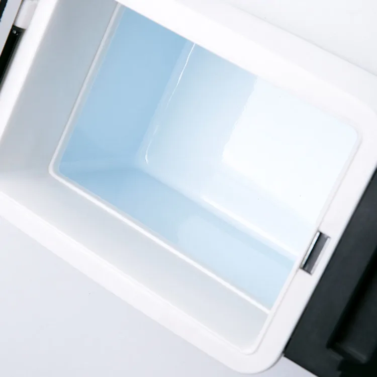 Portable Cooler Mini Fridge DC12V AC220V 8L Car Refrigerator Student Dormitory Cooling Box Touch Freezer Silent Car Fridge (3)