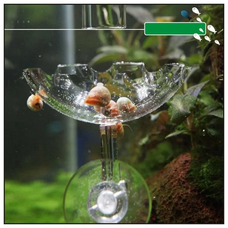 Прозрачный рыбы кормушка с резервуаром аквариум креветки акриловые кормление чаша плавающей ясно с присоской акриловый аквариум