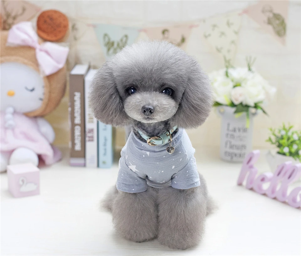 Cotton T-Shirt Clothing for Dogs Summer Spring Dog Clothes Pets Chihuahua (8)