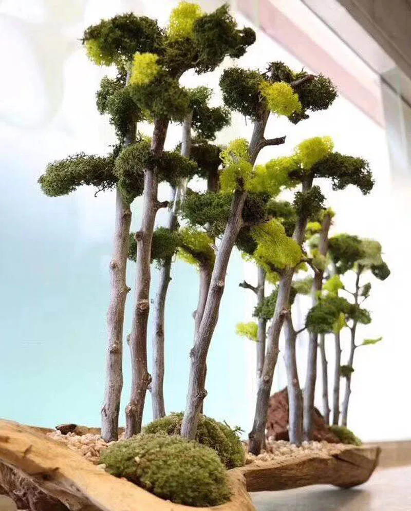 preserved moss cp7